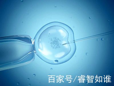 供卵代生咨询哪家靠谱